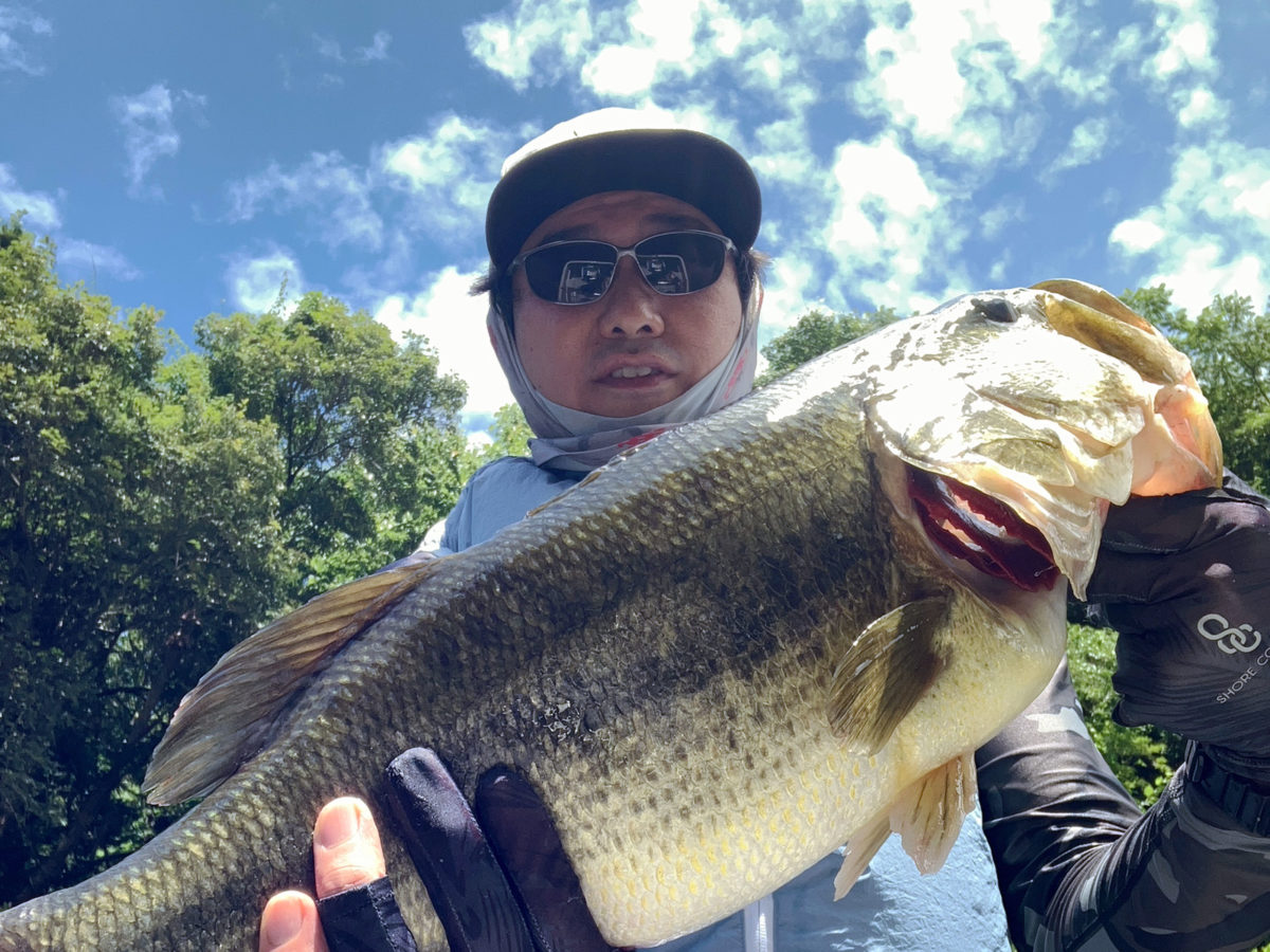 7月13日（日）鈴木 様の釣行（56cm） – 三島湖 石井釣舟店
